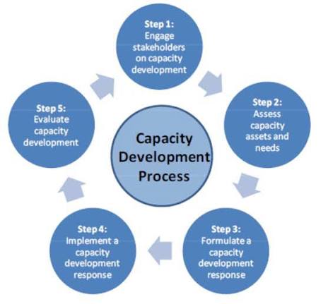 Organizational capacity needs assessment and capacity development framework
