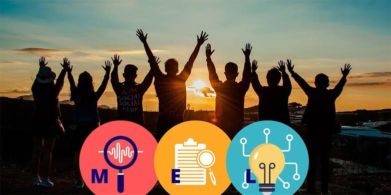 Monitoring Evaluation and Learning framework for organizational performance measurement and evidence-based decision-making