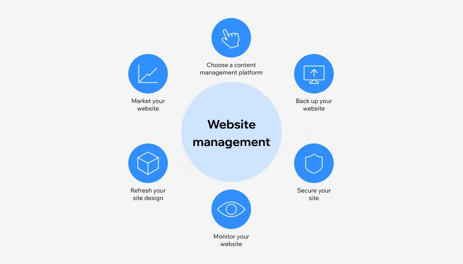 Website Management & Digital Presence